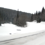 På väg mot Bydalen. Foto: Martin