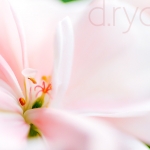 Canon EOS 7D, Tokina AT-X M100/2,8