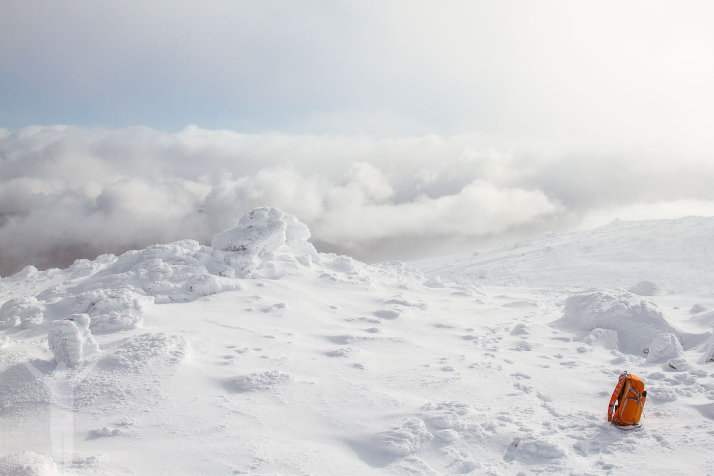Toppen av Storsnasen, Snasahögarna i Jämtland
