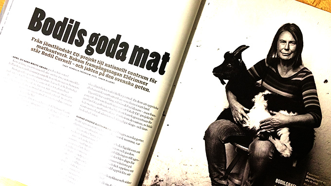 Bodils goda mat