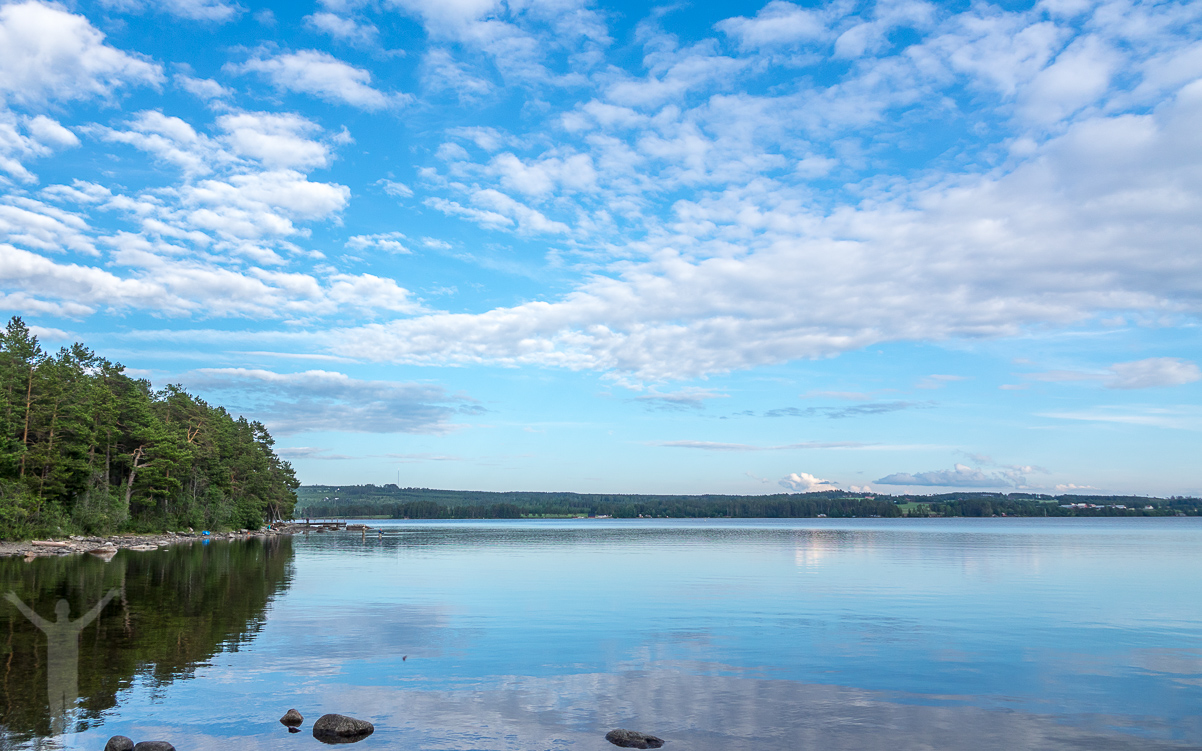 Blomster på Frösön