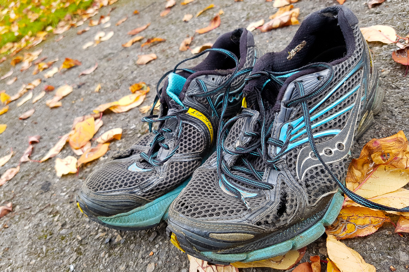 Mina gamla trotjänare till löparskor