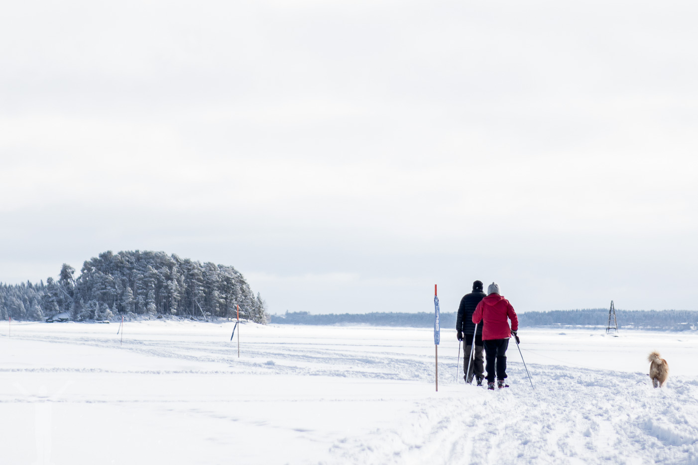 Vårvinter i Jämtland