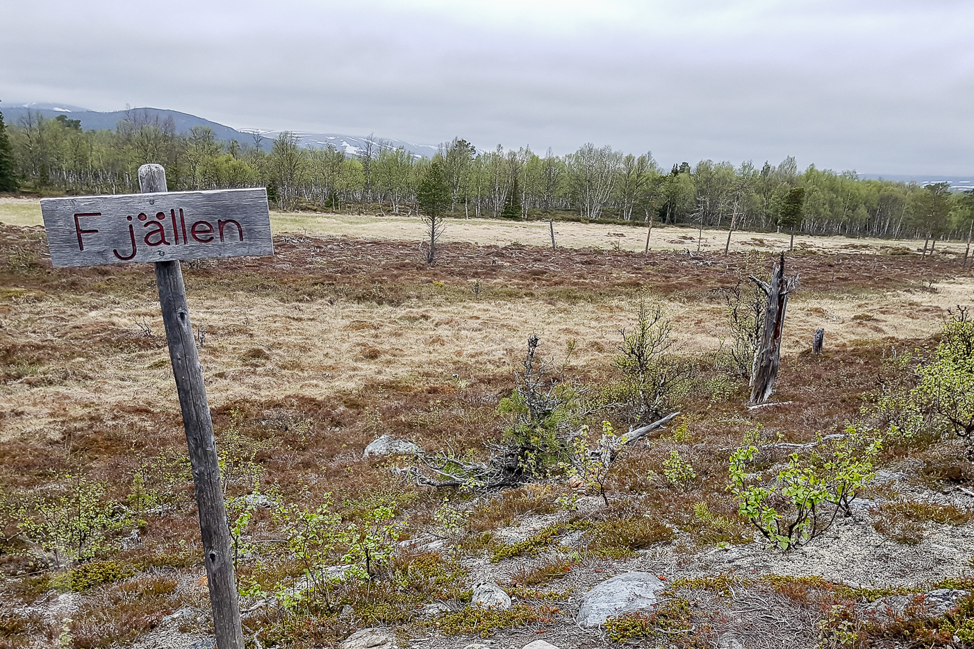 Fjällen!