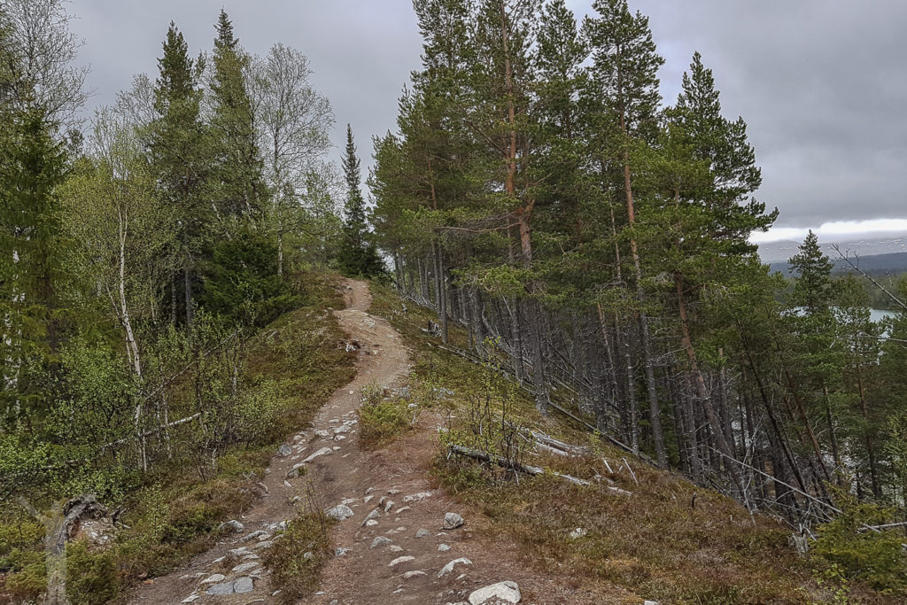 Stigarna på Blanktjärnsrundan