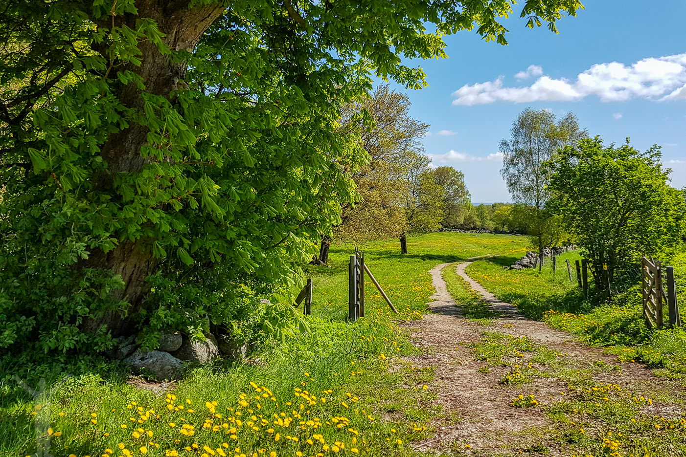 Natursköna Skåne