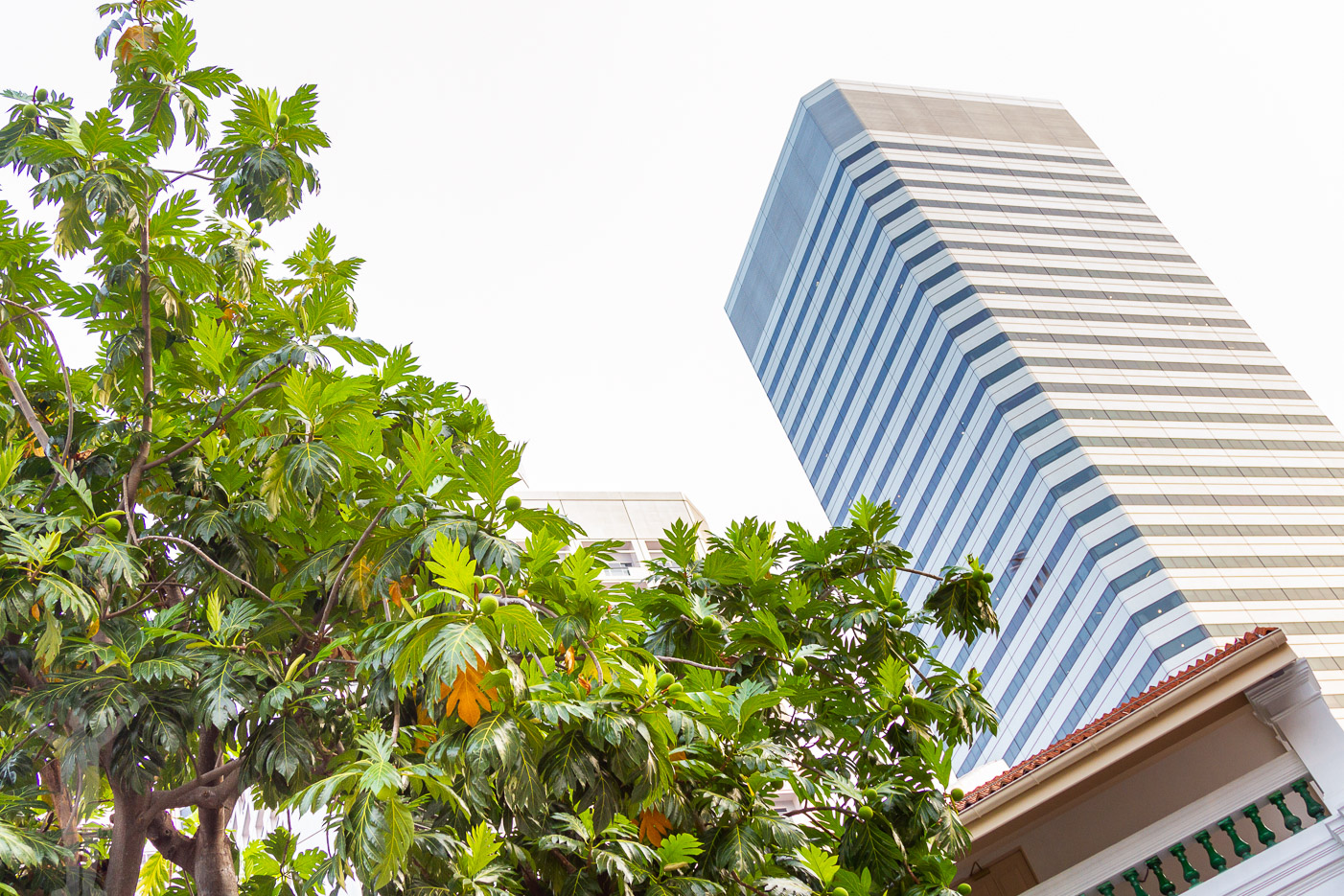 Raffles mot Singapore