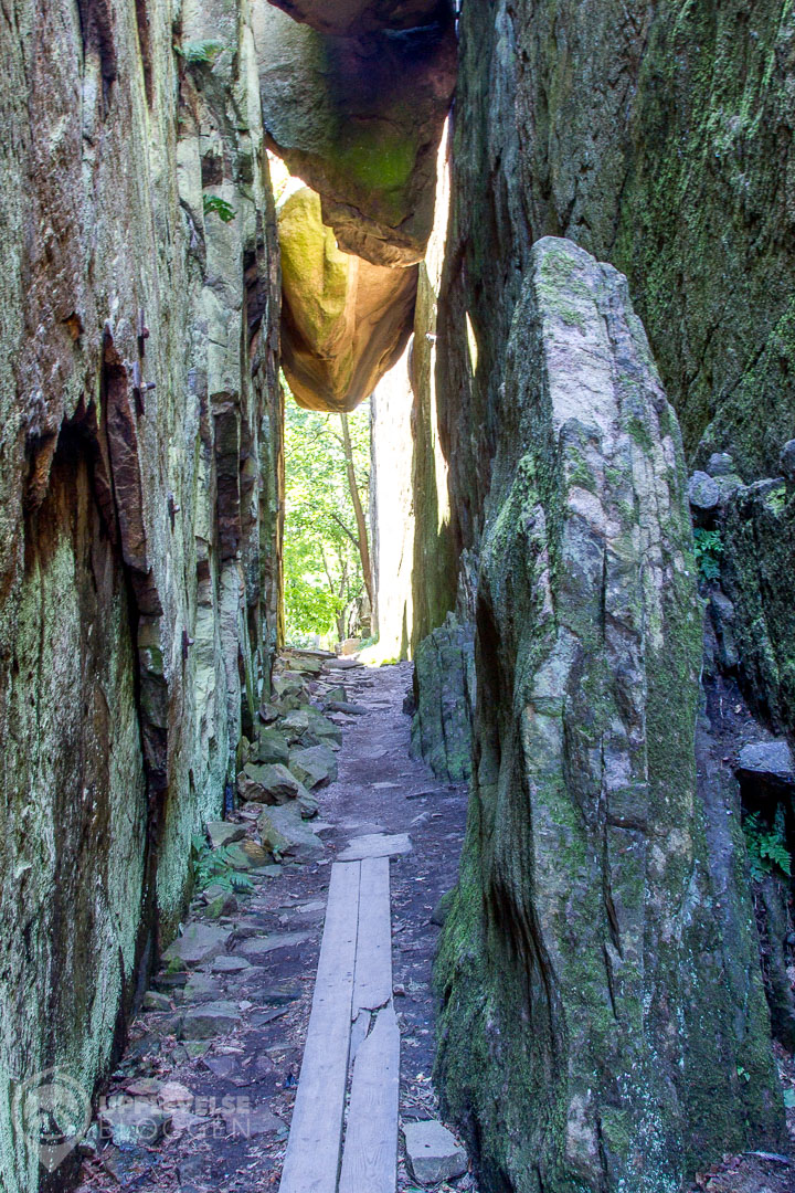 Vargklämman i Kungskyftan, Fjällbacka