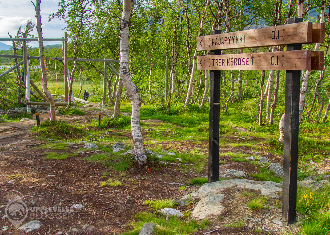 Hike till Treriksröset