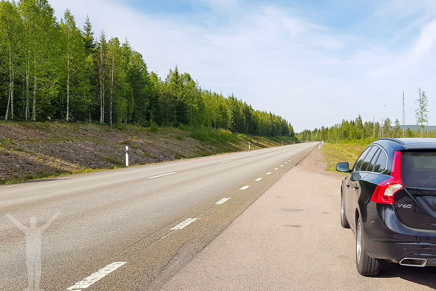 Ovanlig syn i Dalarna