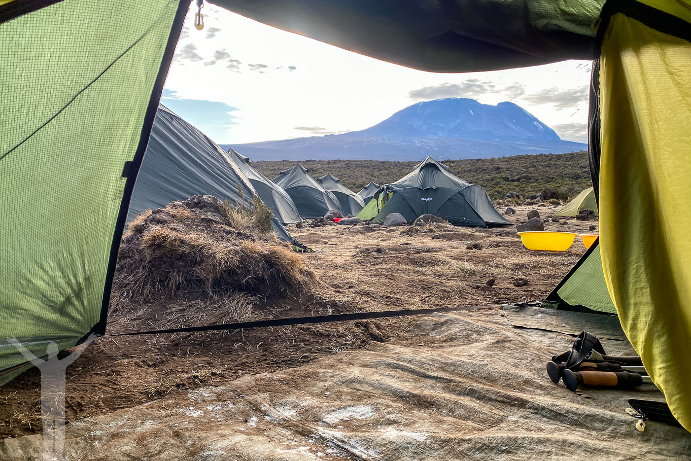 Morgonvy från tältet vid Shira 1 Camp