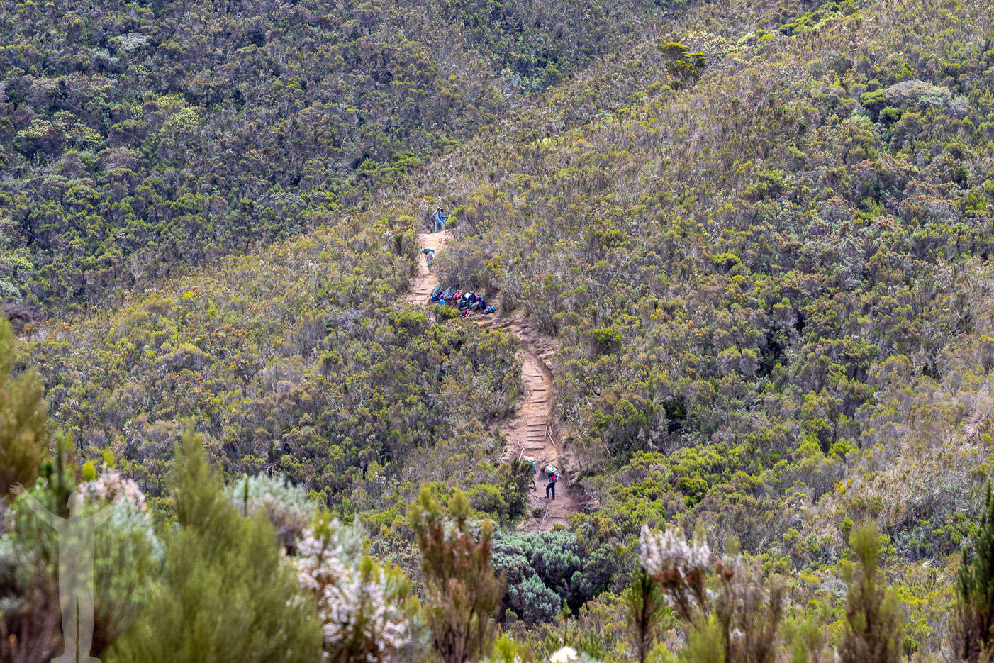 På väg mot Shira 1 Camp
