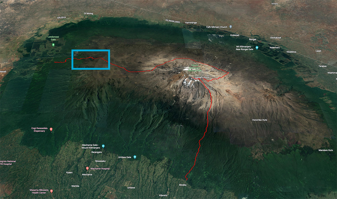 Kilimanjaro - vandring dag 2