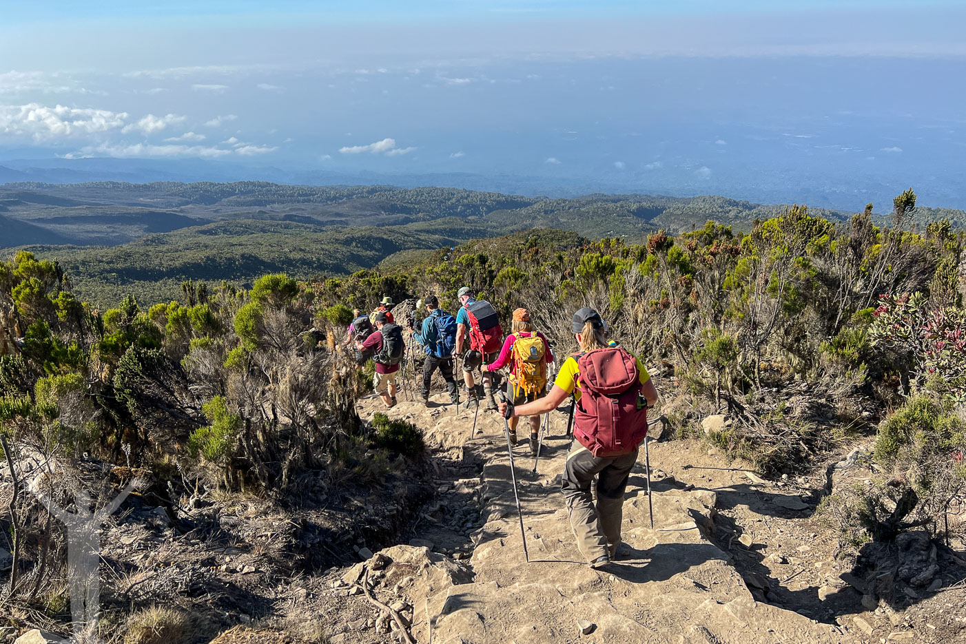 Ovanför molnen längs Mweka Trail