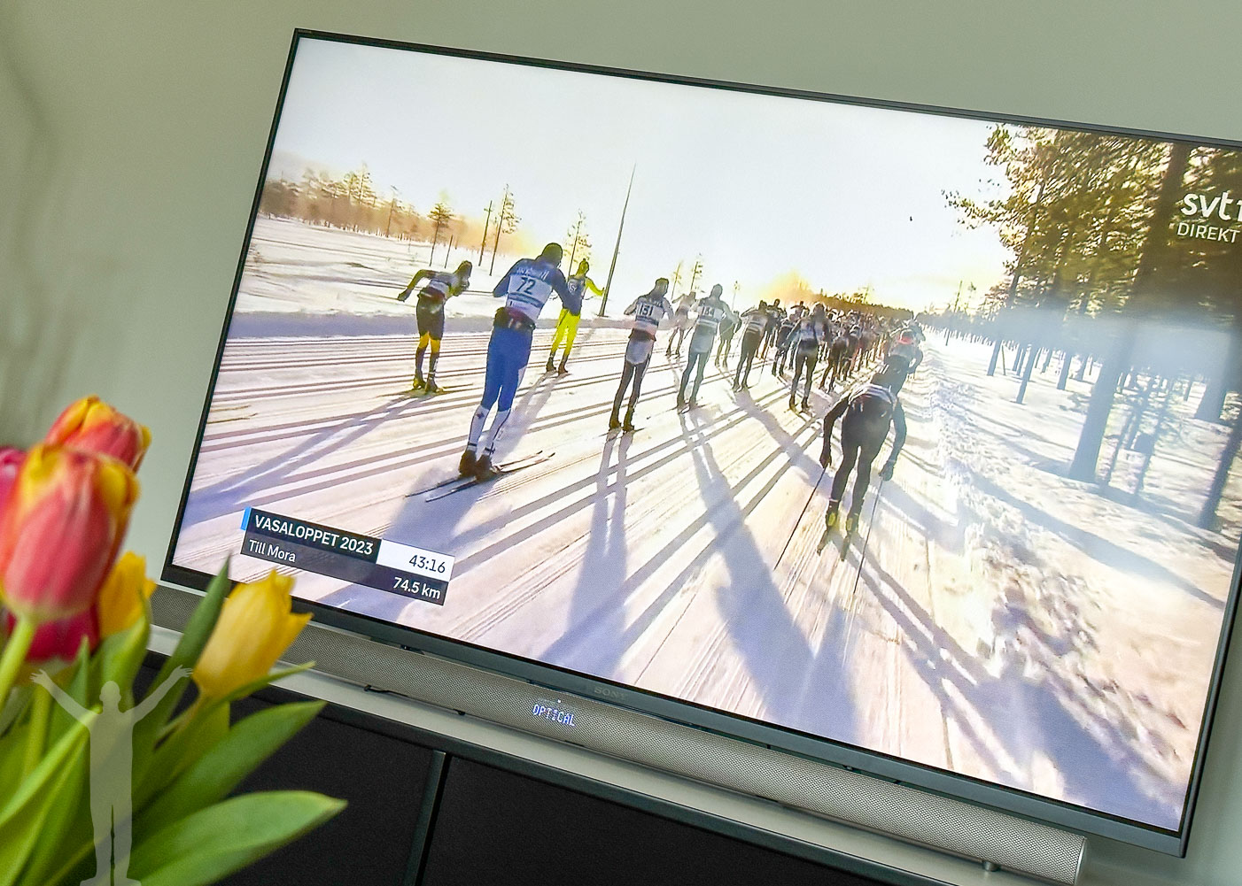 Vasaloppet 2023 på SVT