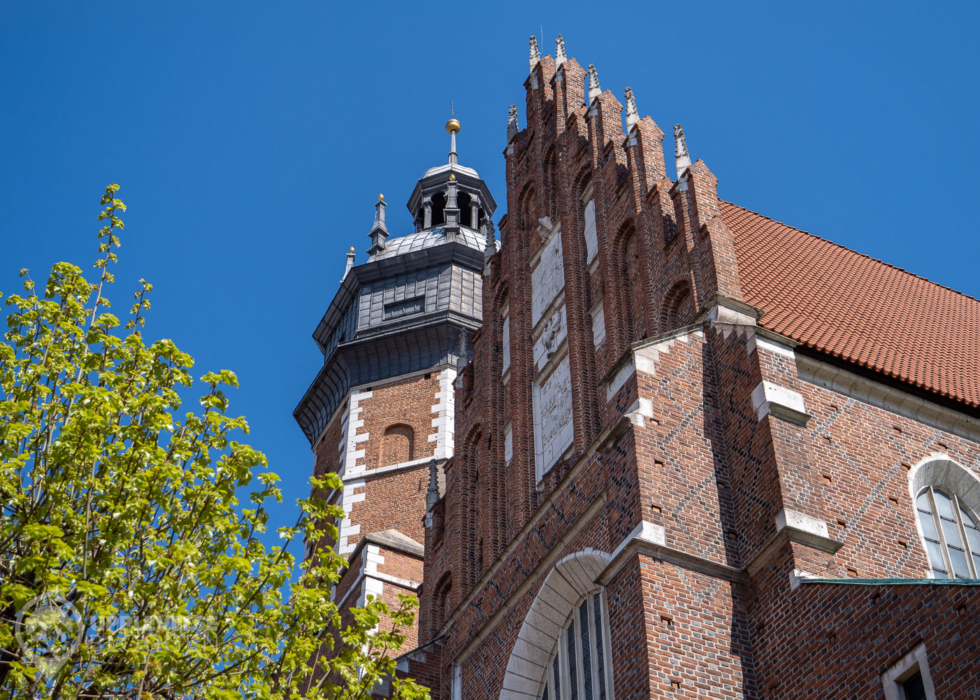 Corpus Christi Basilica i Kazimierz