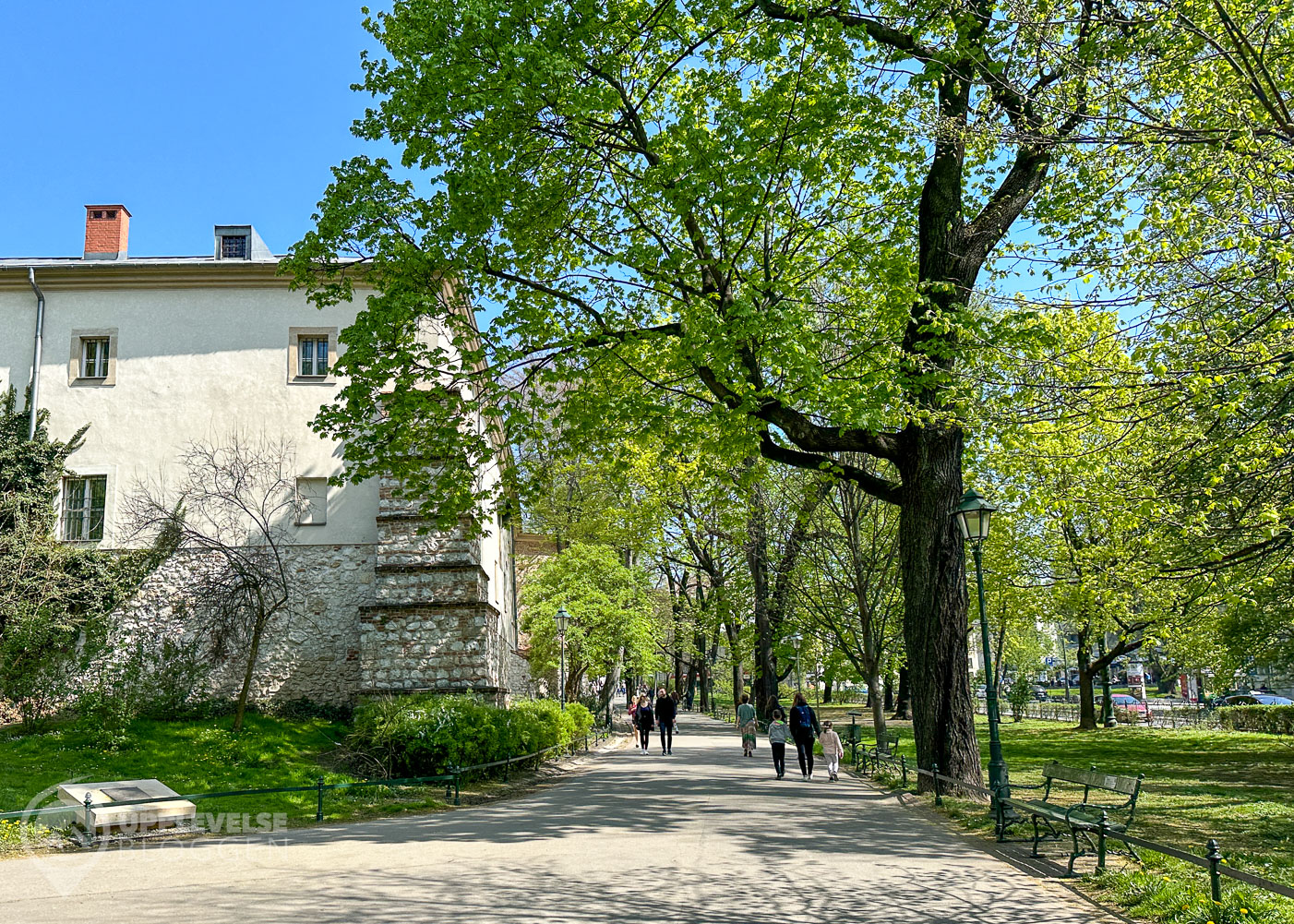 Grönskande alléer i Krakow