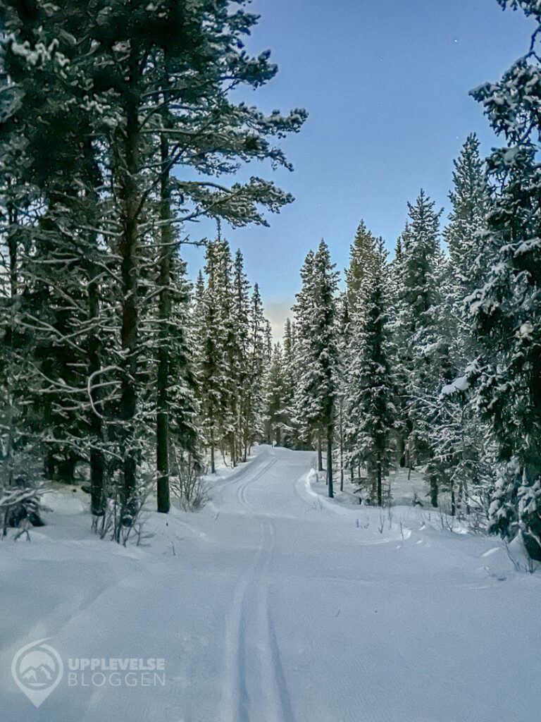 Längdskidor i Funäsdalen