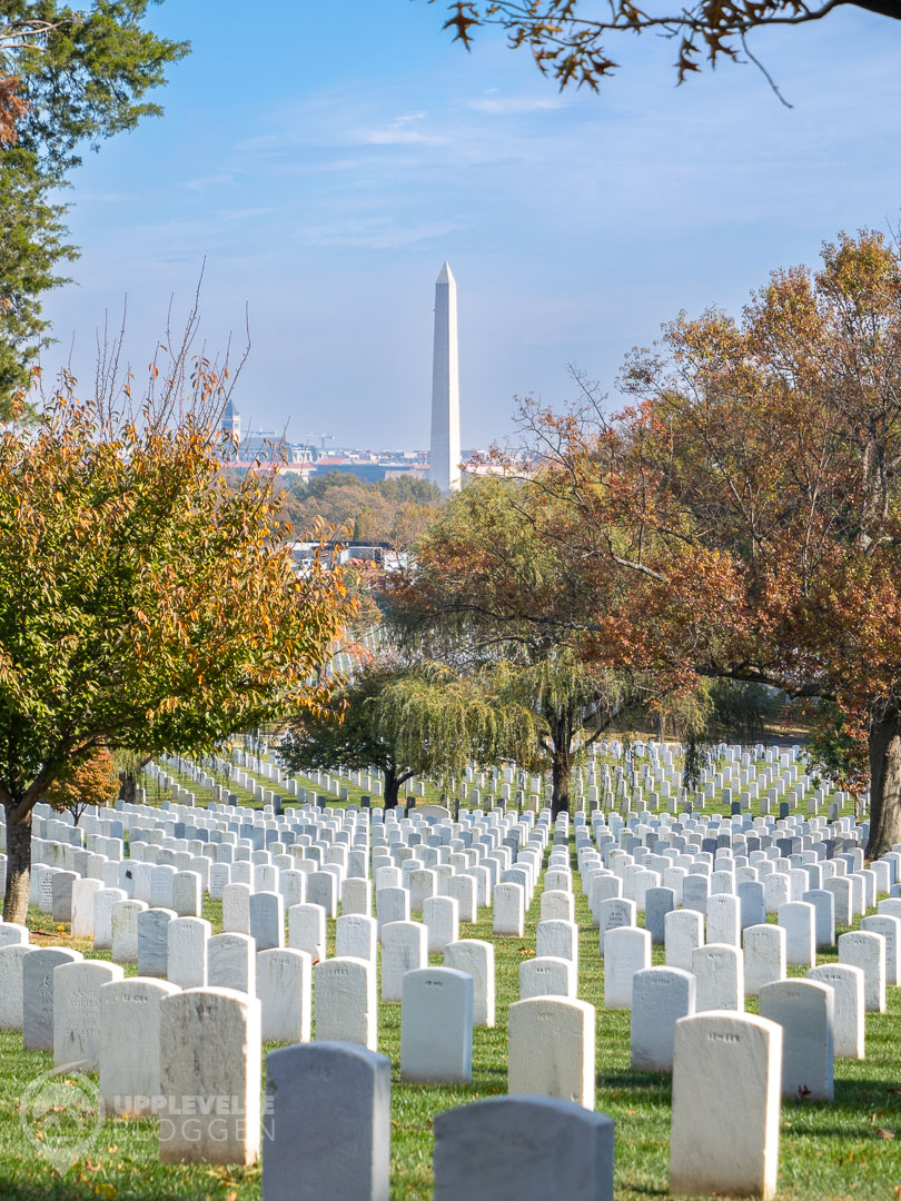 Washington Monument i bakgrunden