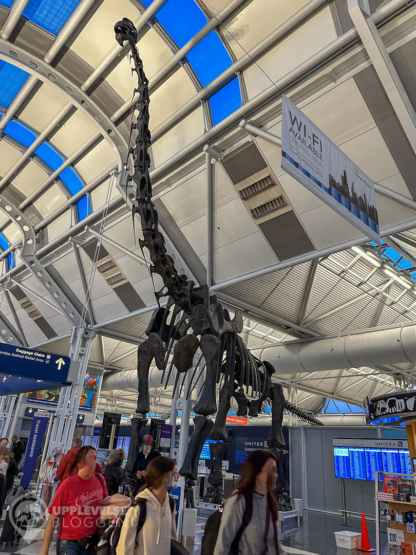 Replika på dinosaurieskelett på O'Hare