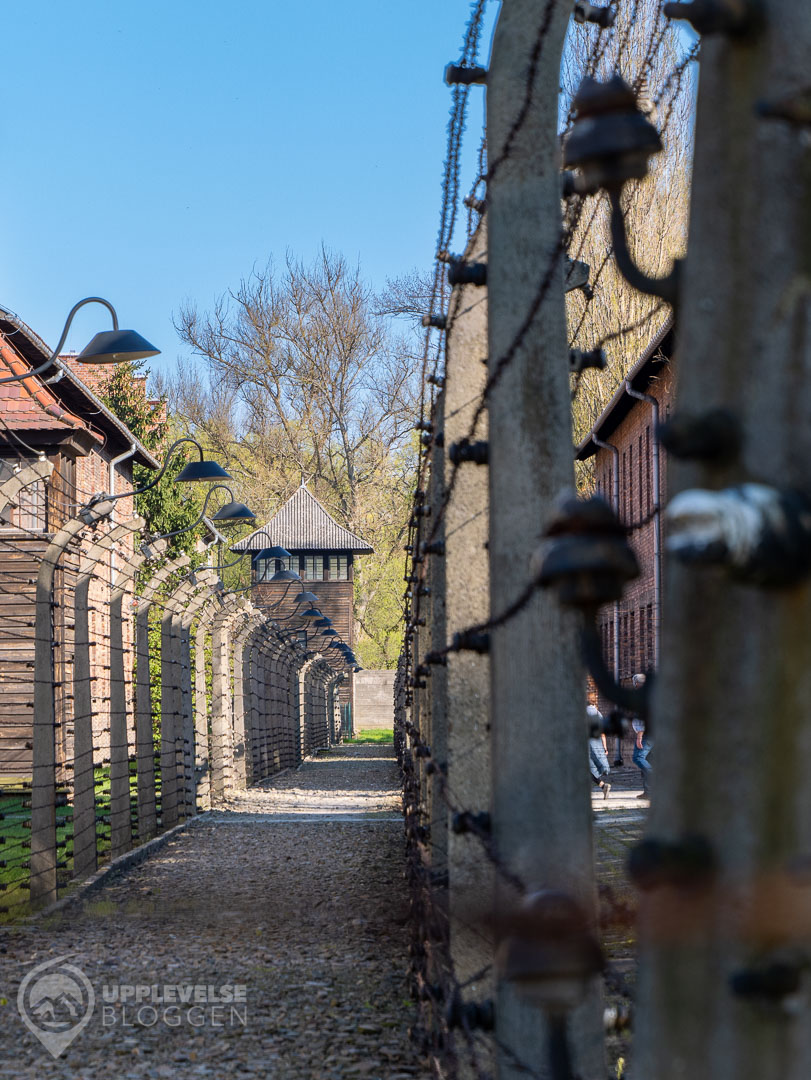 Auschwitz