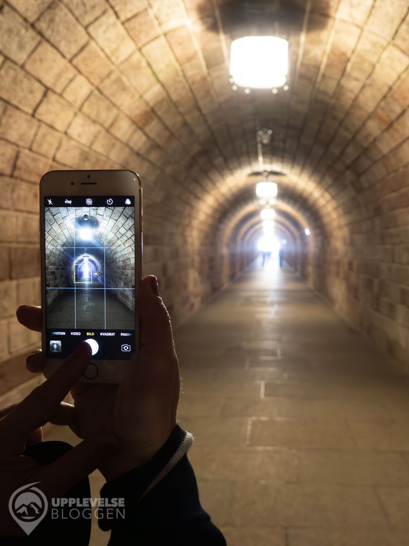 Tunnel i Örnnästet