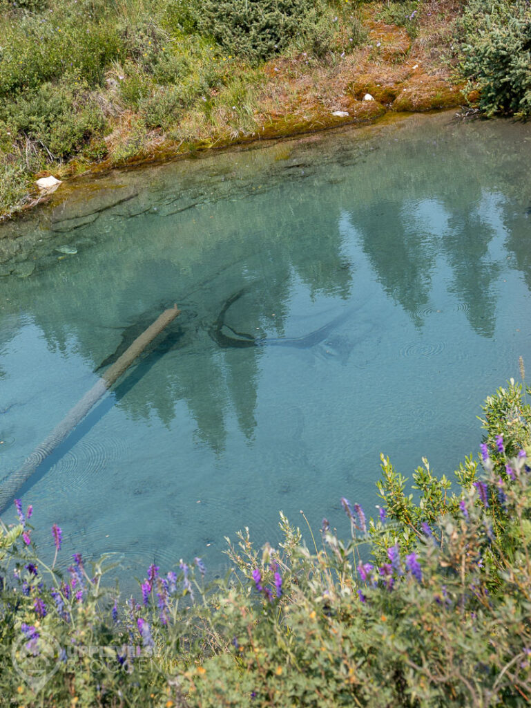 Vattenkälla vid Ink Pots