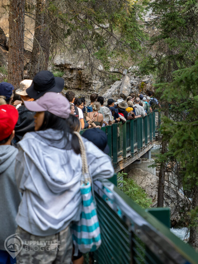 Kö till Upper Fall längs Johnston Canyon