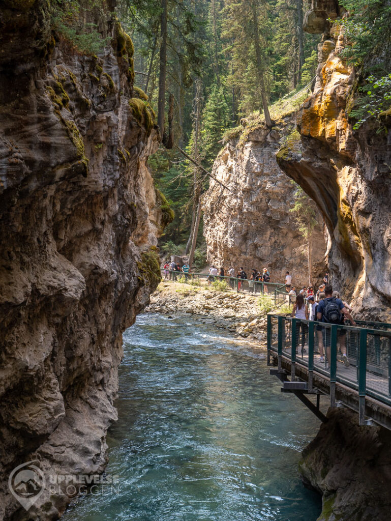 Johnston Canyon, Banff National Park