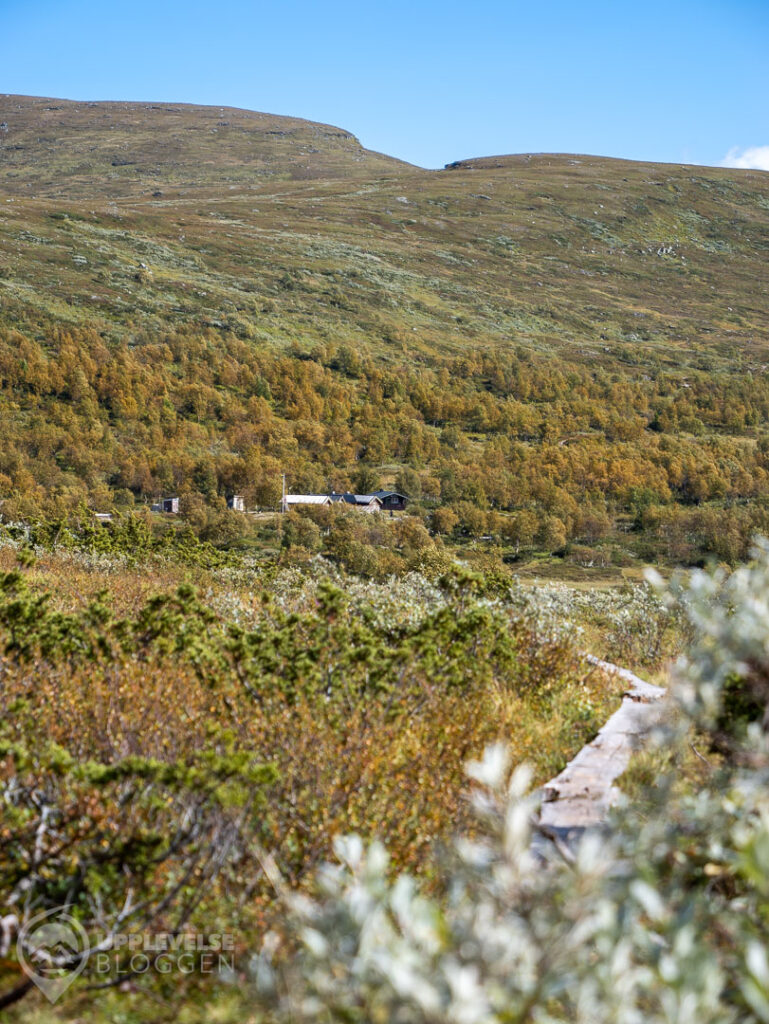 Andersborgs våffelstuga, Tänndalen