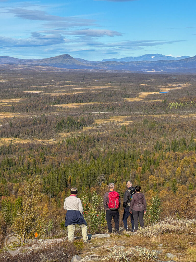 Fin utsikt ovanför trädgränsen