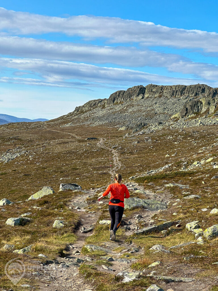 Trail run på Anåfjället, Funäsfjällen