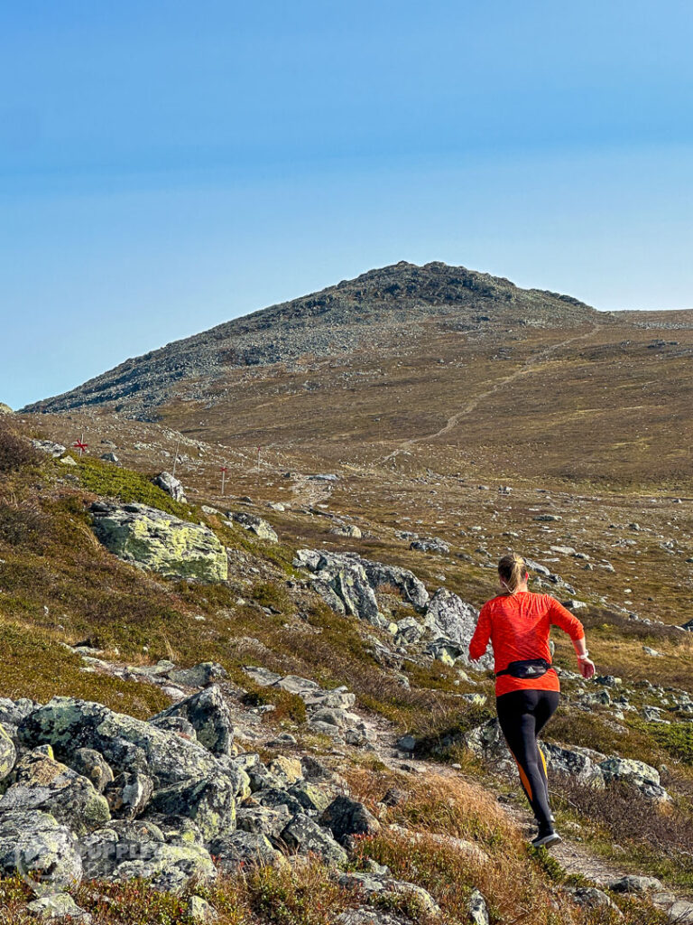 Fjällöpning i Funäsfjällen