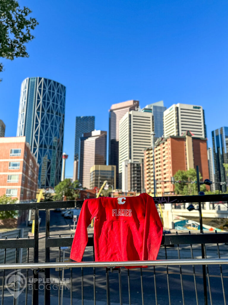 Calgary Flames-tröja