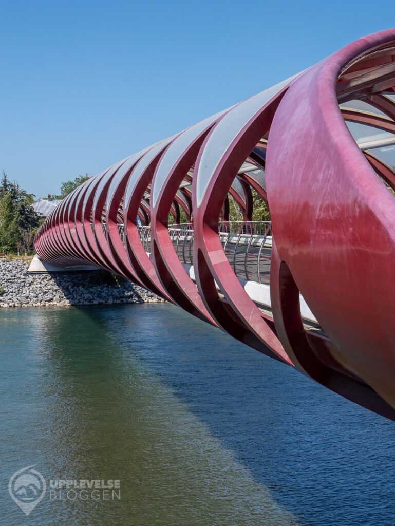 Peace Bridge i Calgary