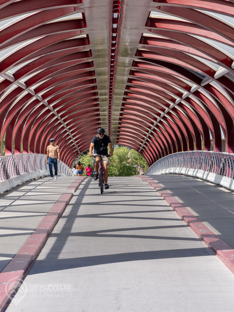 Peace Bridge i Calgary