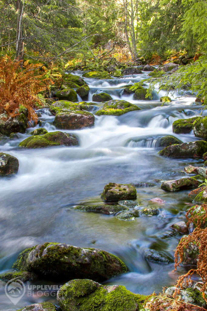 Höstens färger vid Njupeskär