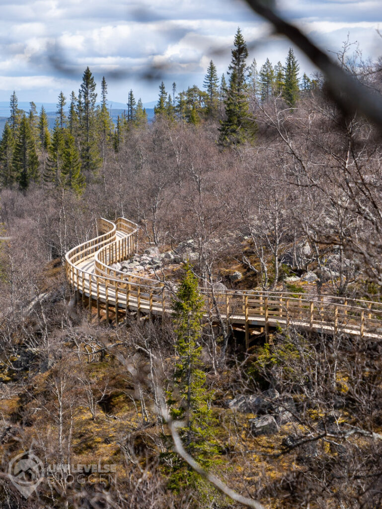 Lavskrikeleden vid Njupeskär