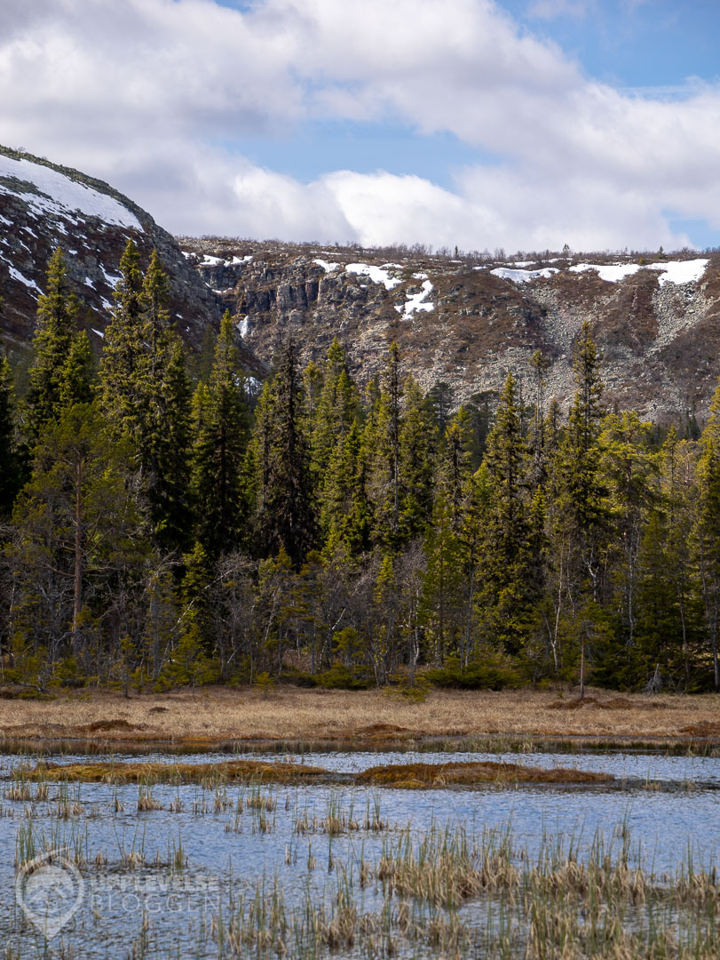 Fjällnatur och fläckvis snö i mitten av maj