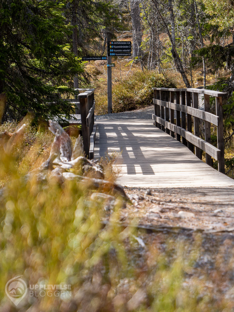 Vandringsled och skyltar vid Njupeskär