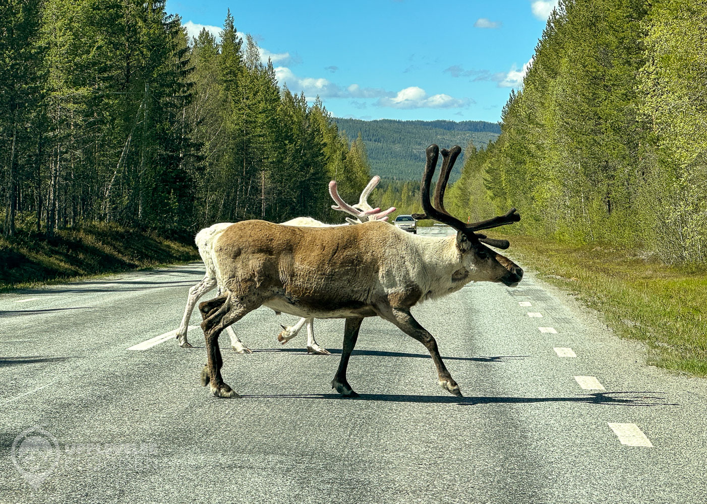 Vägren mellan Sveg och Åsarna