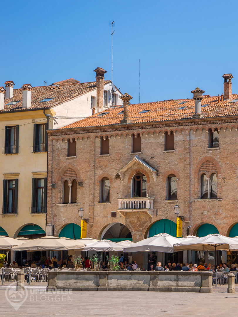 Torg och restaurang i centrala Padova