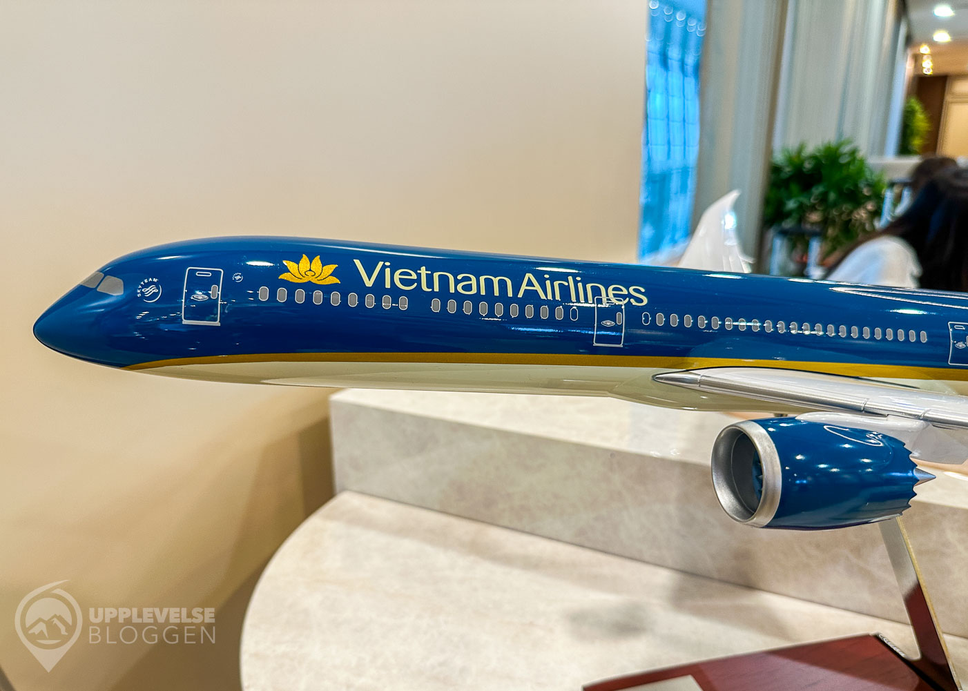 Vietnam Airlines Boeing 787 (modell)