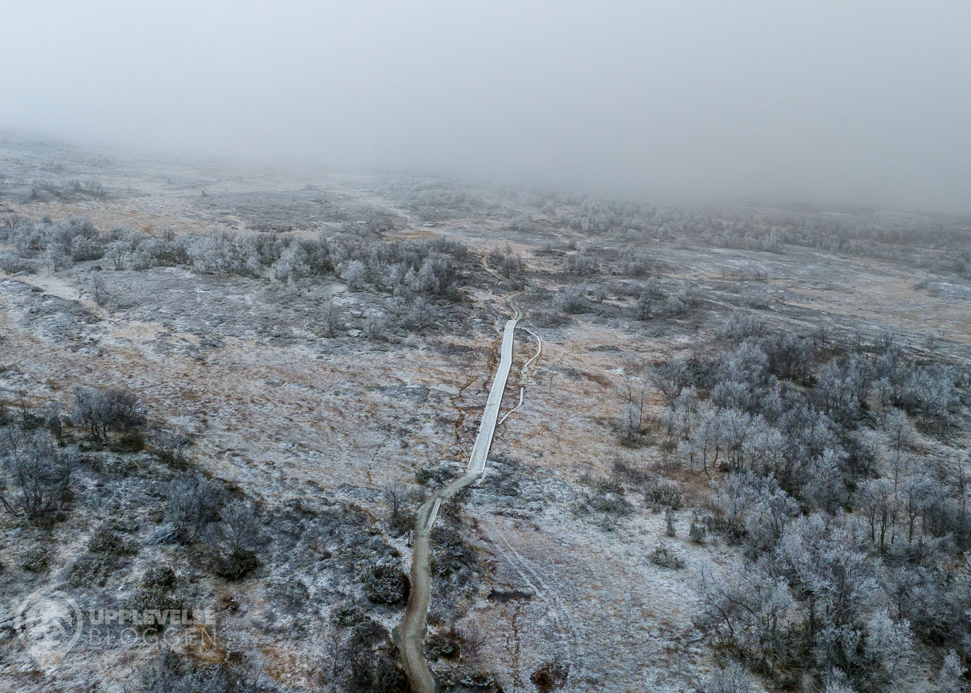 Leden till Andersborgs fjällservering