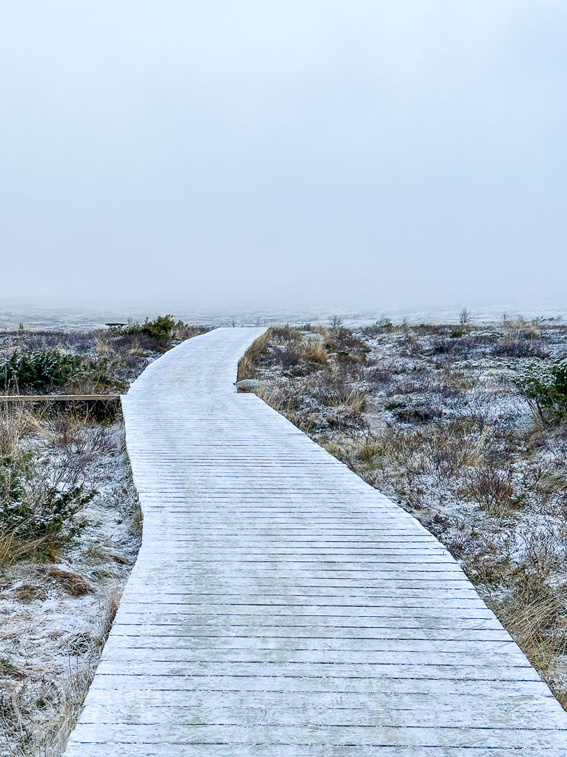Leden till Andersborgs fjällservering