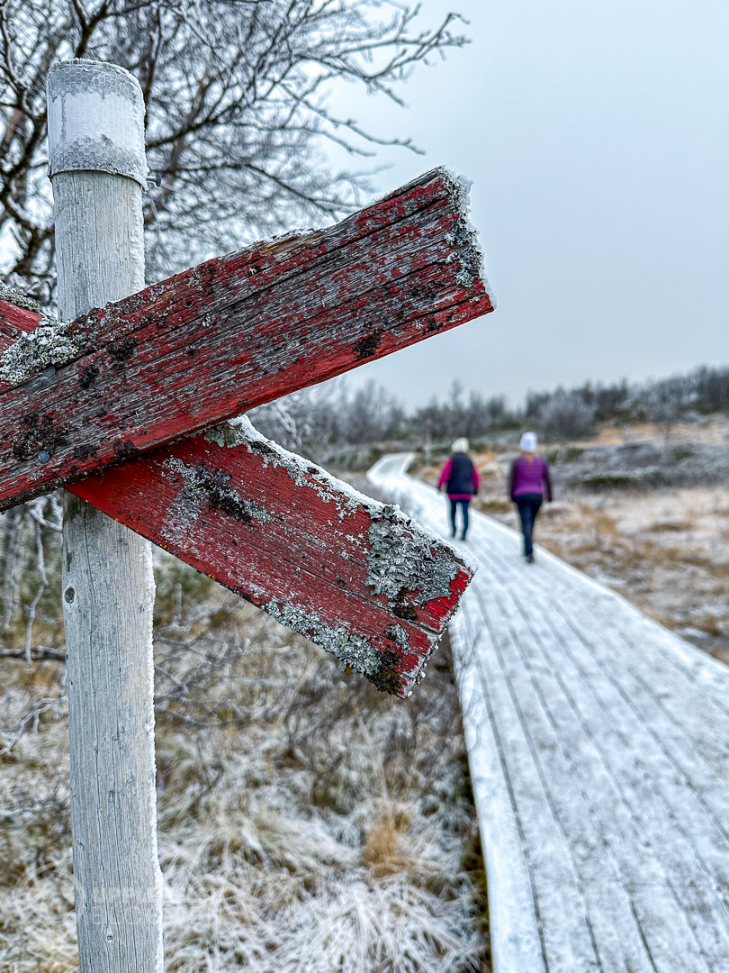 Leden till Andersborgs fjällservering