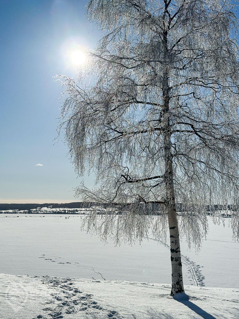 Vårvinter i Östersund