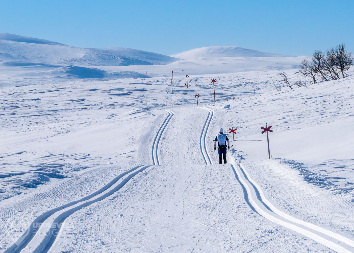 Längdskidor på Solskensturen till Fjällnäs