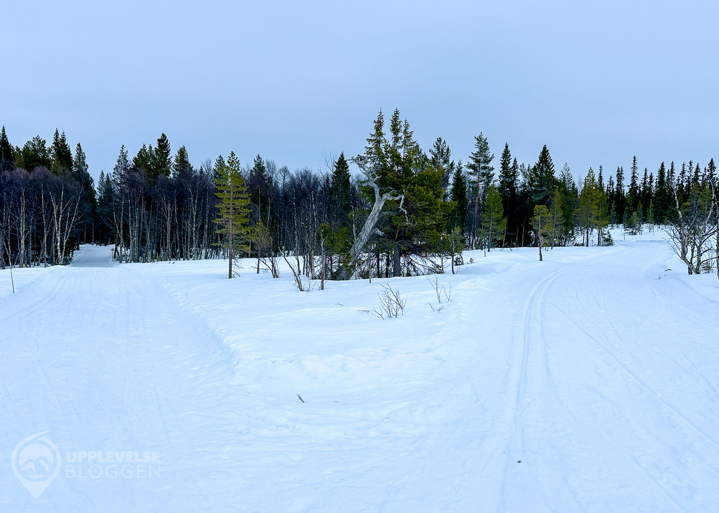 Tänndalsleden mot Funäsdalen