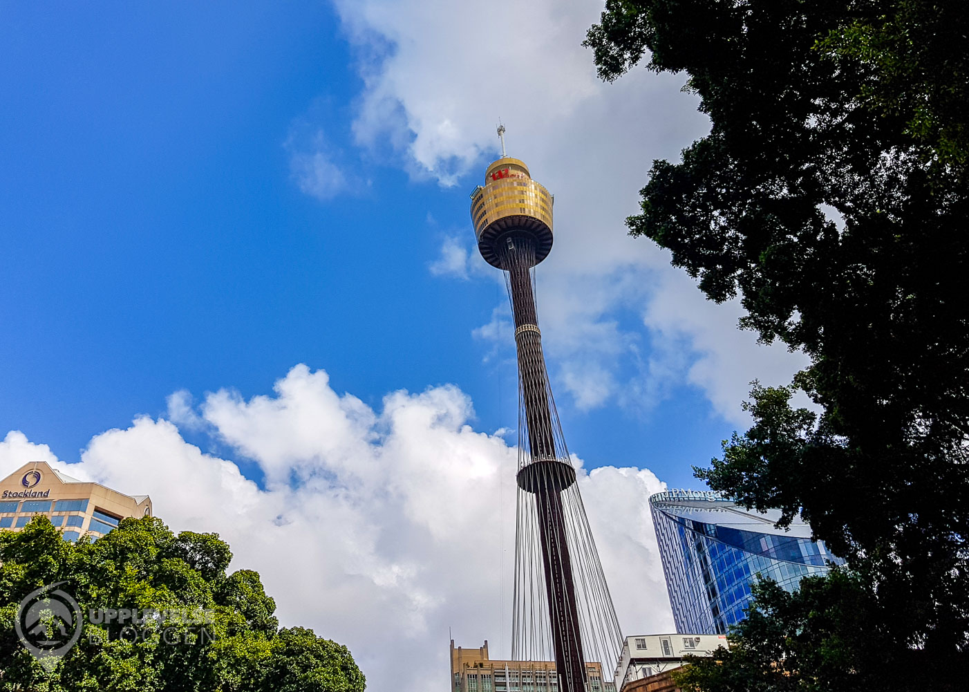 Sydney Tower Eye
